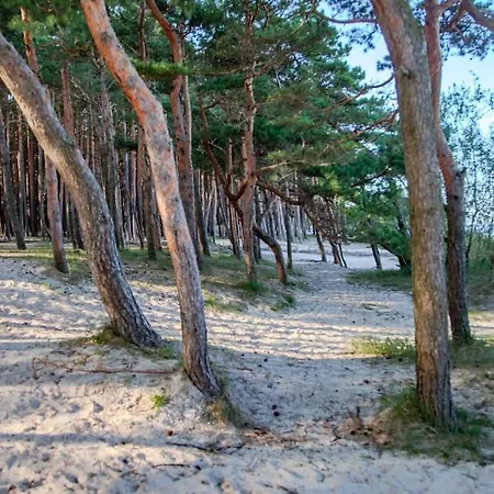 Beachside Loft At Valley Of The Dunes *