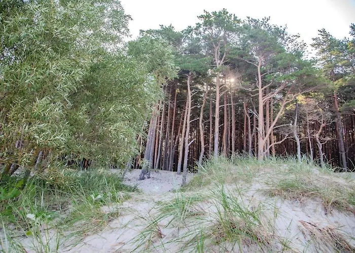 Beachside Loft At Valley Of The Dunes 公寓 *