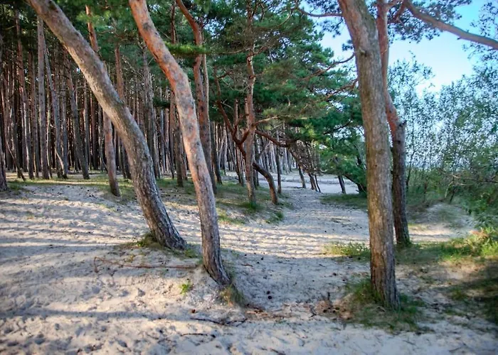 Beachside Loft At Valley Of The Dunes *